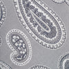 Silver Large Paisley Silk Tie
