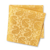 Classic Gold Paisley Silk Tie & Handkerchief Set