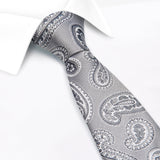 Silver Large Paisley Silk Tie