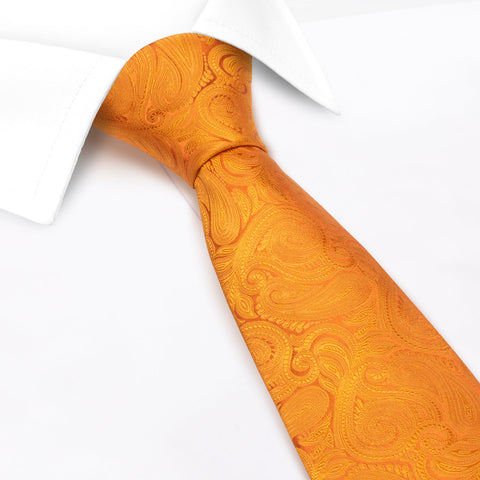 Burnt Orange Paisley Woven Silk Tie