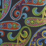 Rainbow Luxury Paisley Woven Silk Tie