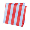 Red & Blue Woven Striped Silk Handkerchief